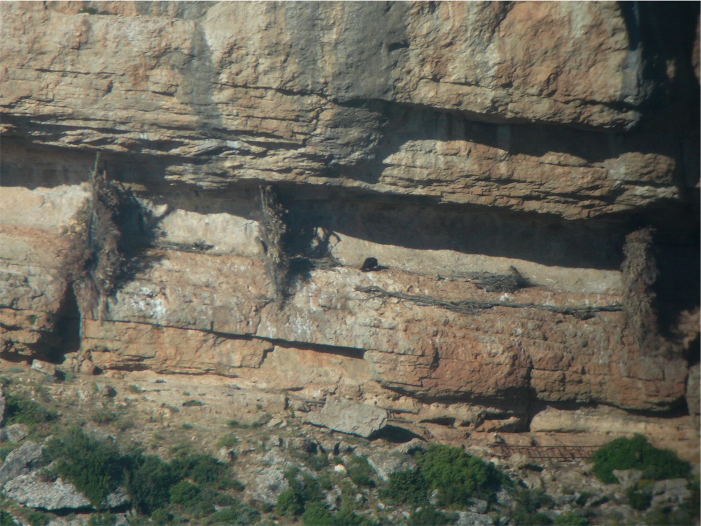 Monte Novo San Giovanni